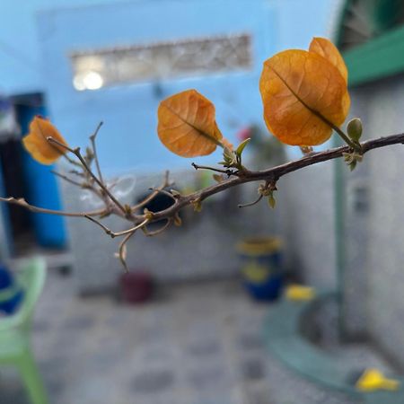 Casa Morisca Villa ซิดี้ อิฟนิ ภายนอก รูปภาพ