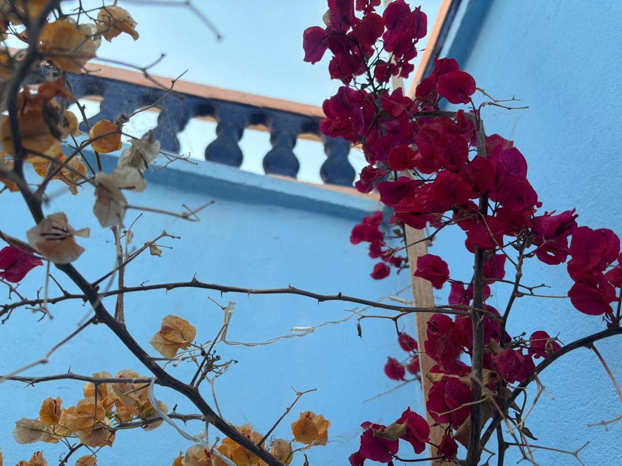Casa Morisca Villa ซิดี้ อิฟนิ ภายนอก รูปภาพ